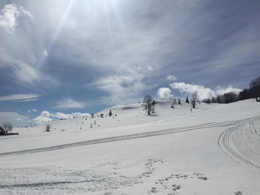 Дома для отпуска Macondo House Жабляк-85